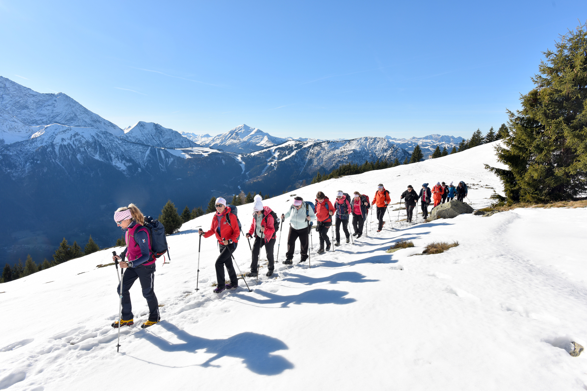 NEWSLETTER DE FIN D'ANNEE