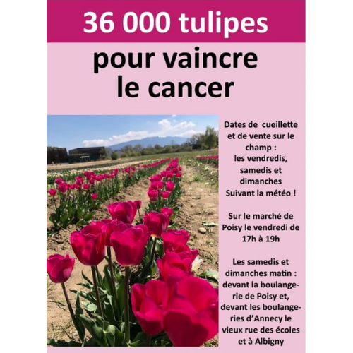 Cueillette solidaire à Poisy