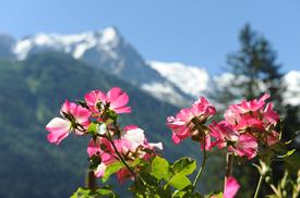 La montagne