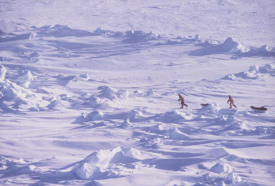 Le Pôle Nord