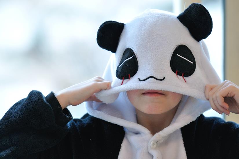 Un panda au reveil