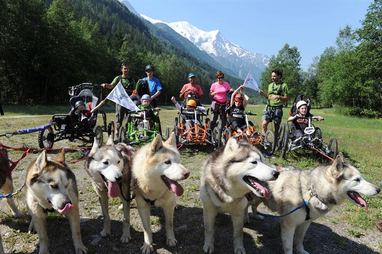 Cani FTT au programme aujourd