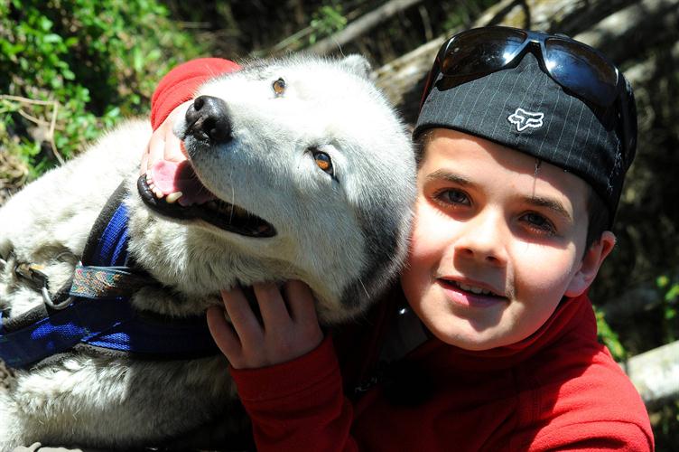 Ce matin, rendez-vous avec nos compagnons du jour, les huskies !!! (Tom)