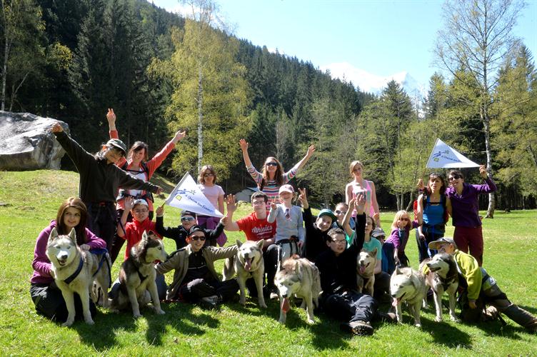 Et si on partait à la rencontre de nos amis les huskys !
