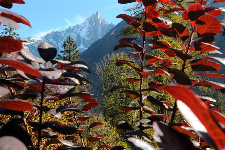 Bienvenue à Chamonix!!!