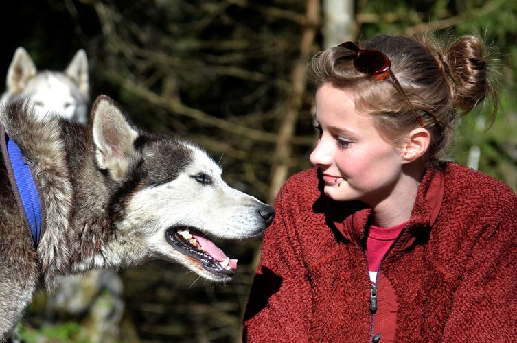 Discussion canine entre Emma et Fjord !