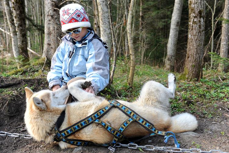 On a rendez-vous avec les huskies ce matin!