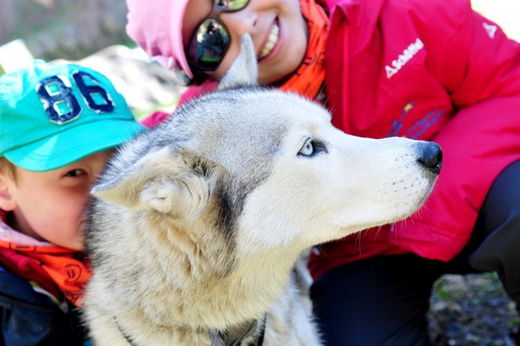 Premiers calins canins ! (Nicolas et Elena)