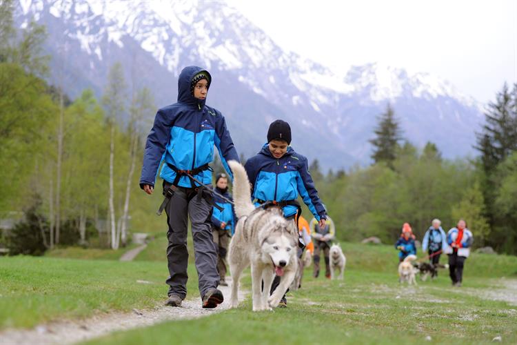 Cani-rando au menu pour nos champions!