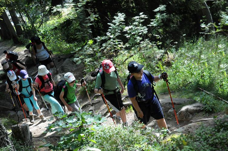 Très rapidement, nous pénétrons en sous-bois ! 1er objectif, la cascade de Bérard !