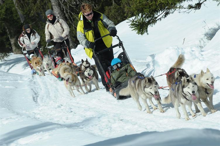 Top départ ! Sur les pistes de fond des Carroz !