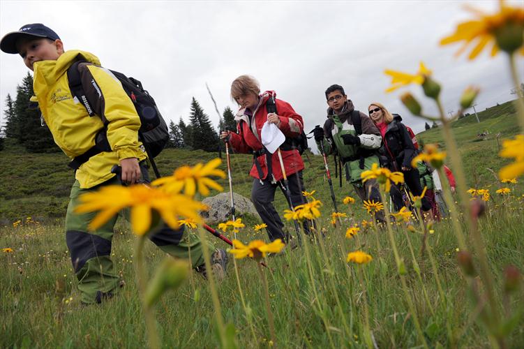Slalom entre les fleurs...
