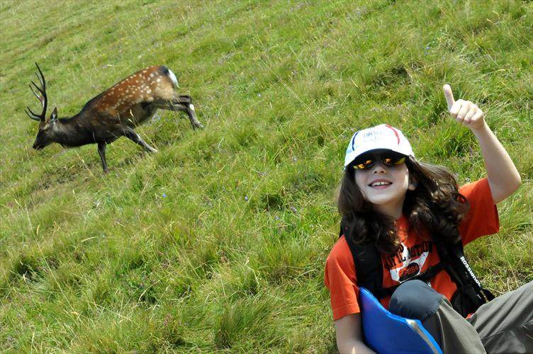 1ére rencontre avec la faune locale ! Tom en reste baba d