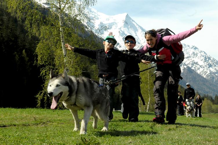 Et c’est parti pour une course de Husky de folie.