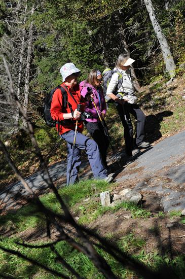 La première partie de la randonnée se fait en forêt.
