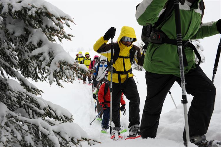 On va slalomer entre les sapins.