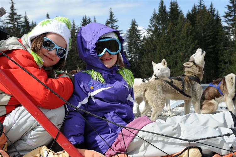 Regardez bien comme les chiens nous appellent, ils sont impatients!