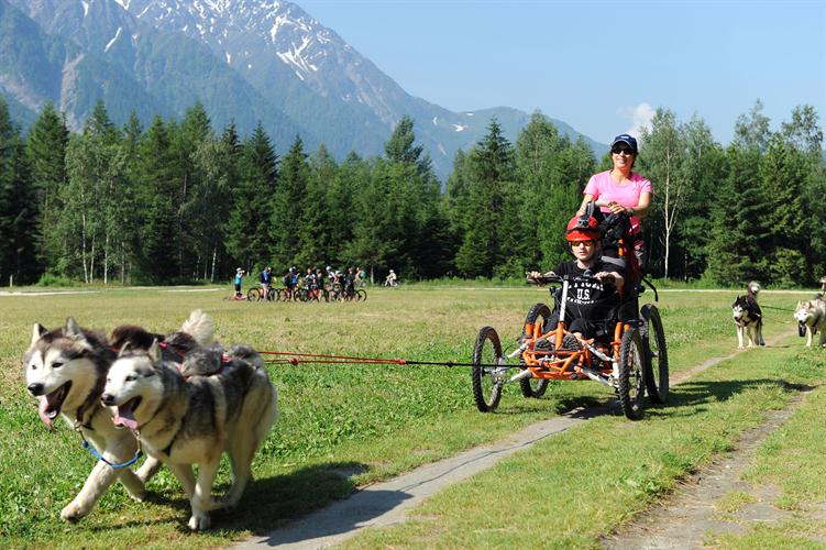 Allez, en avant pour une grande virée avec les huskies!