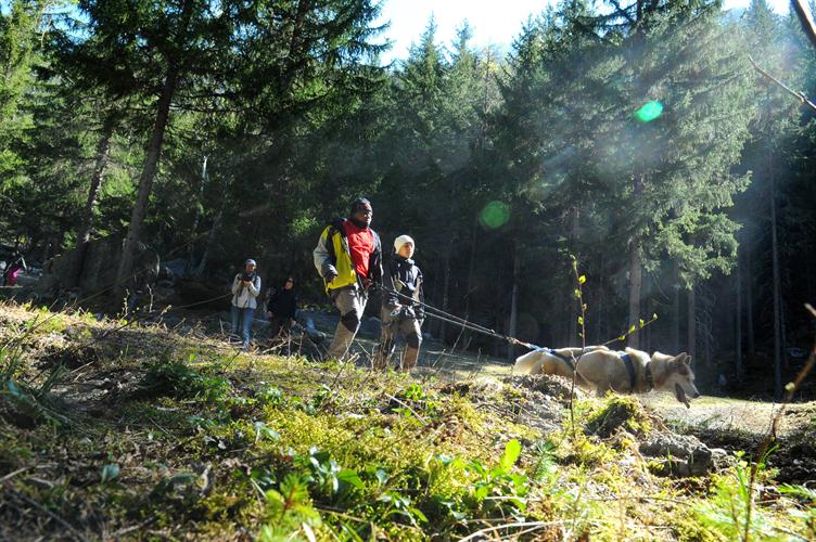 Inondés de rayons de soleil, nous évoluons avec joie dans le bois du Bouchet ! (Chérif et Yanis)