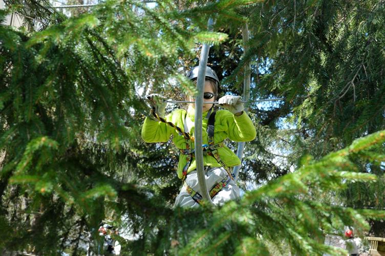 Au milieu des vertes épines, l