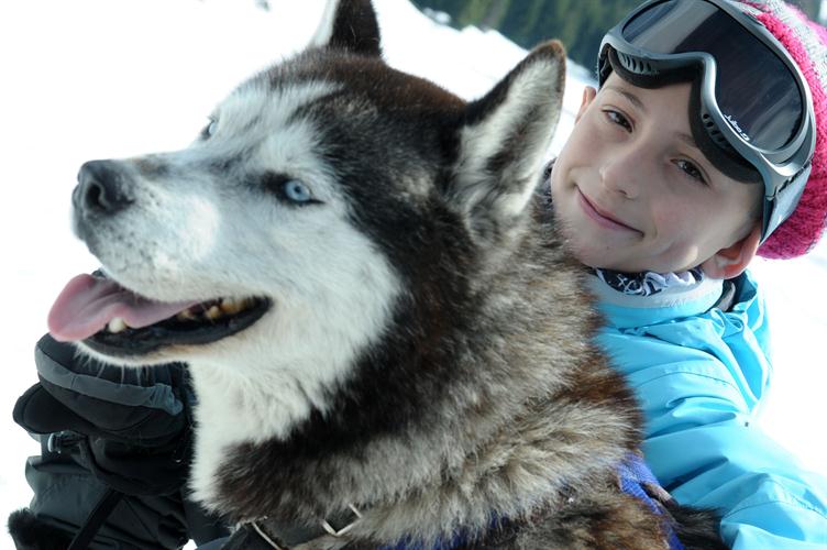Calin canin ! (Emir)