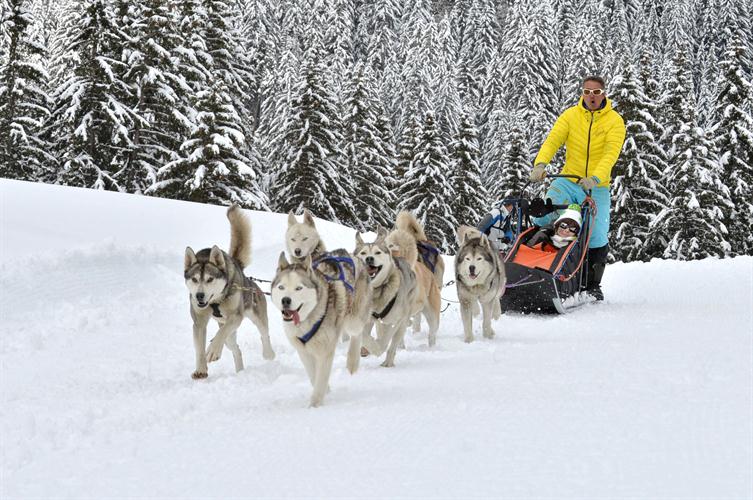 Pauline est fiere de nous présenter sa six huskys mobile.