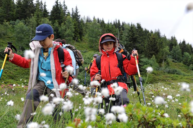 Tiens, on dirait que ce sont des flocons de neige!