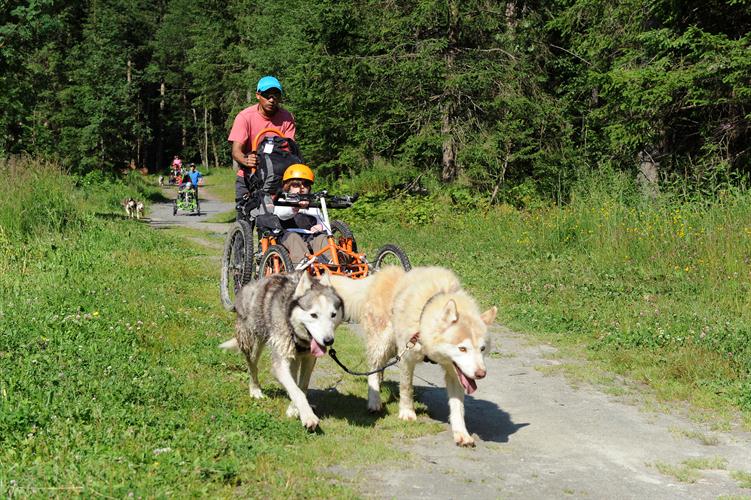 Pratique pour traverser la forêt à toute vitesse!