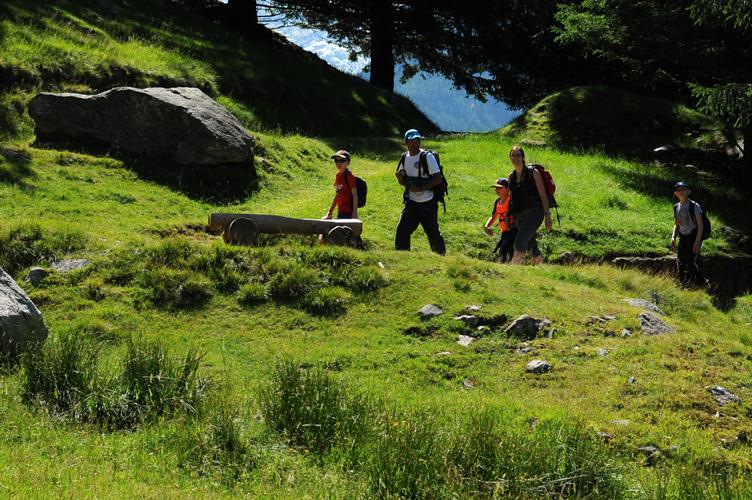 Direction, la foret des chamois ! Bikram nous y conduit !