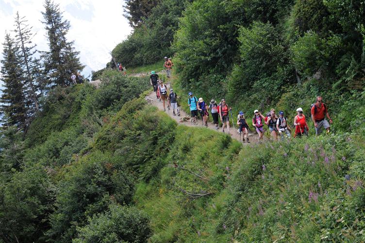Le sentier étroit que nous empruntons doit nous mener jusqu