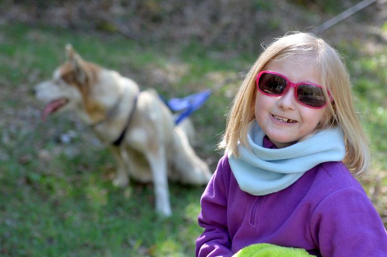 Tu vois maman c’est un chien comme ça que je veux !