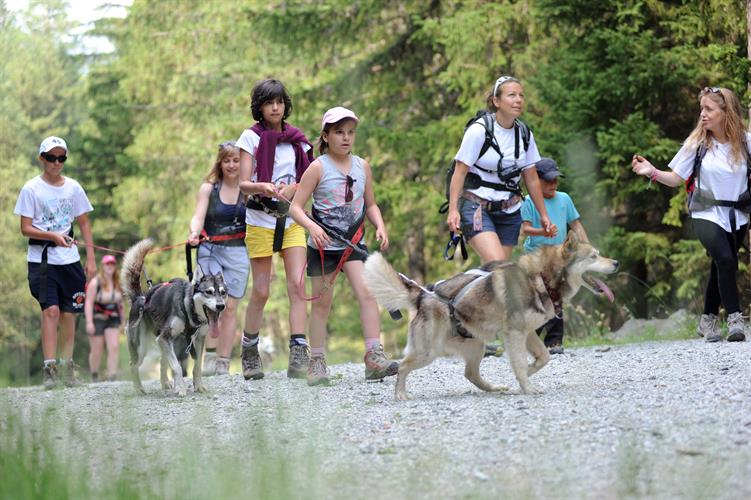 Le peloton traverse la forêt chamoniarde!