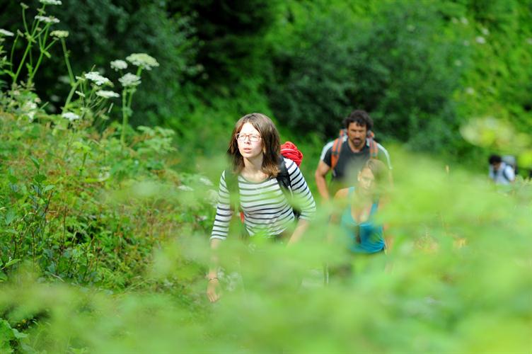 Sirine, baignée de lumière, ouvre la marche vers le sommet !