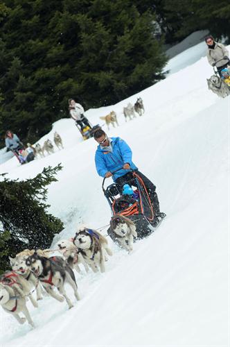 Chaque équipage trace sa trace dans la poudreuse !