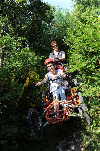 Au jardin des plantes...