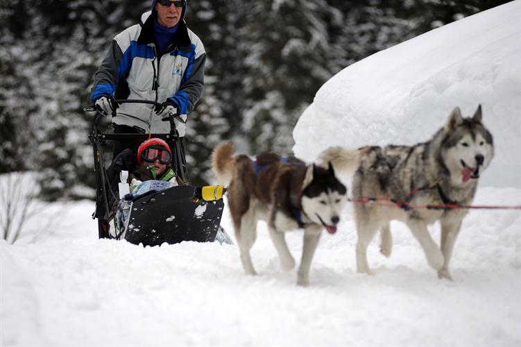 Les infatigables huskies nous gâtent aujourd