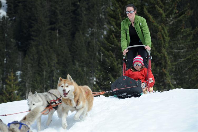 Attention à la descente!
