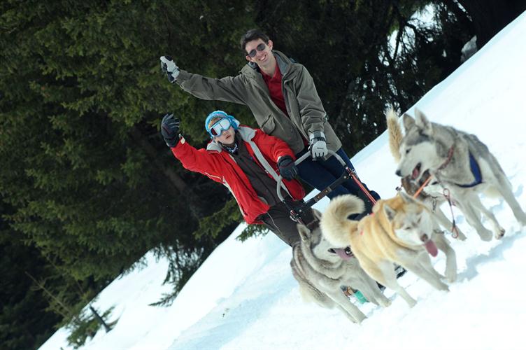Louis et Tanguy, champions de mushing !