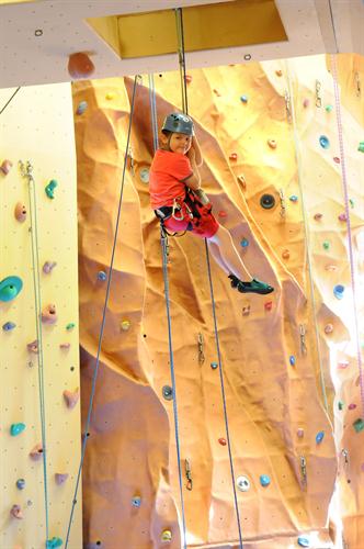 Dans les altitudes de notre salle d