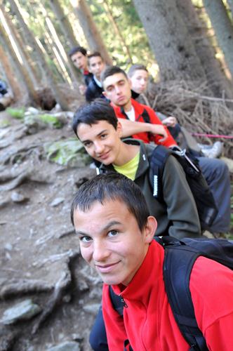 Au repos à mi-parcours ! La bande pose sa fatigue sur les troncs abattus !