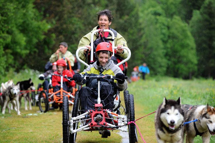 La pluie ne ramolit pas les huskies, et il faut s