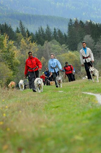 Top départ ! Au creux de la vallée, nous entamons nos pérégrinations !