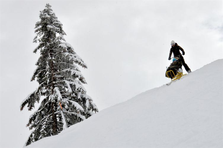 Fait attention Charlotte de ne pas rentrer dans le seul sapin de la piste !!! Merci ! (Clara)