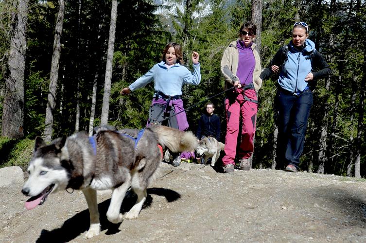 Clémence et Maeva ne marchent pas elles volent derrière leur husky !