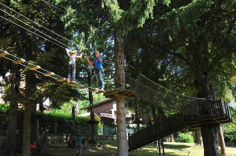 Ce matin, 8 de nos champions ont élu domicile au sommet des arbres du parc !
