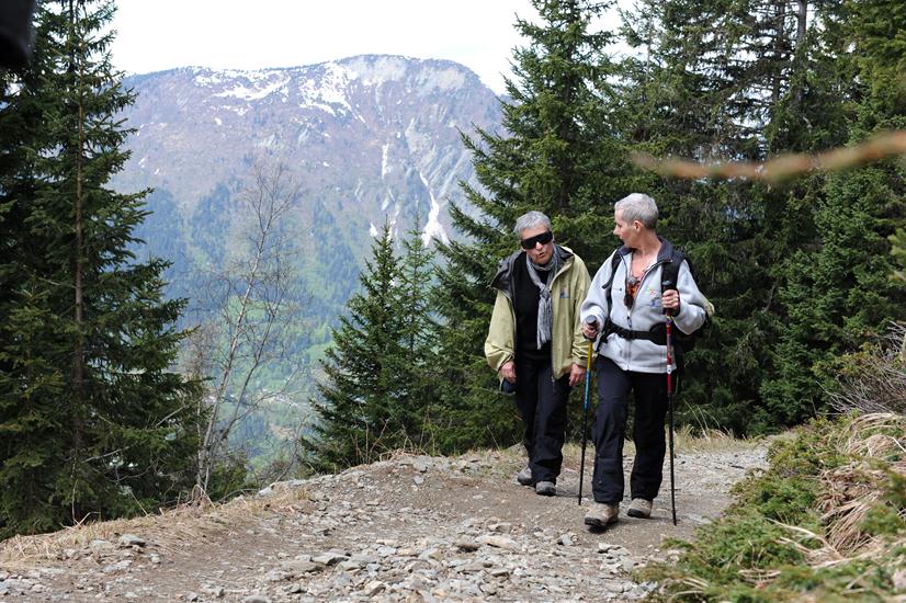On quitte la forêt pour s