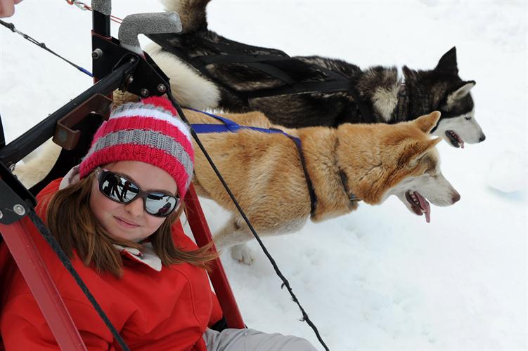 Allez Léa, tes deux compagnons t