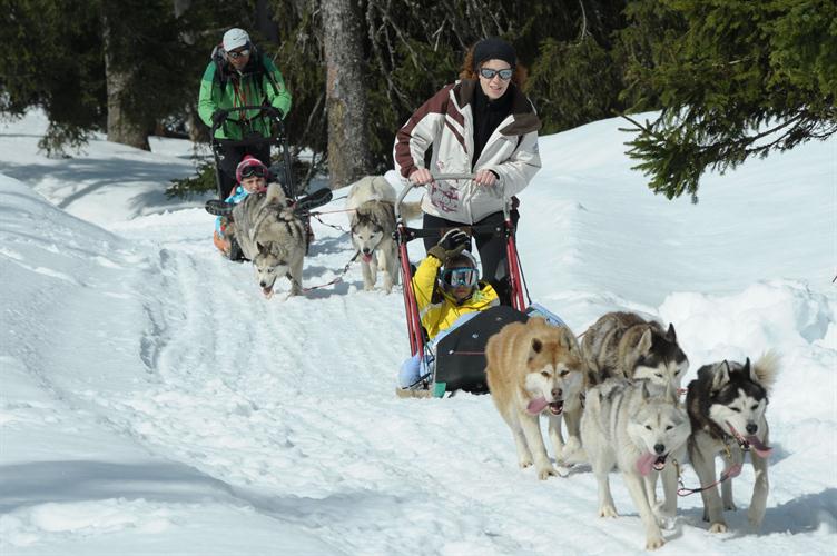 Paul et Emir, sportivement pilotés par leurs compagnons, Bikram et Céline !