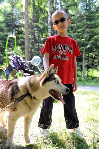 Trop bien cette matinée avec les huskies!