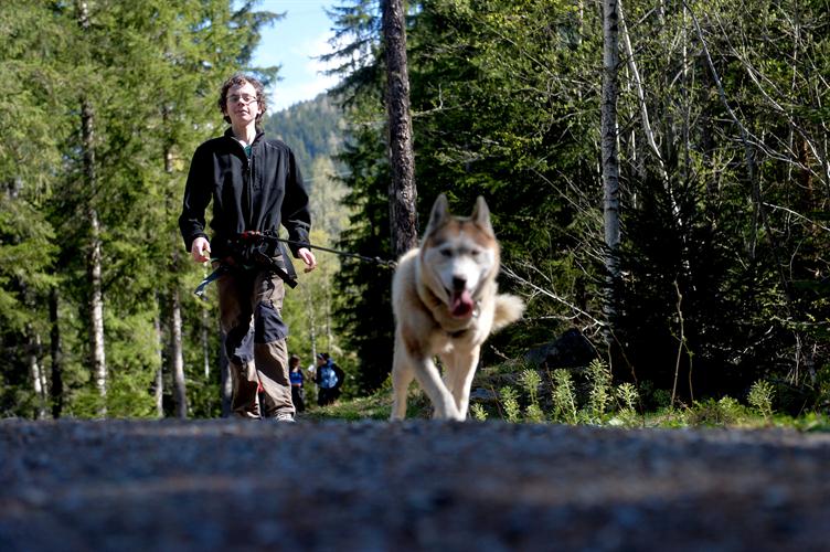 Adrien maitrise avec perfection son husky turbo dernière génération !